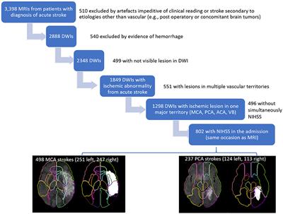 Left Hemisphere Bias of NIH Stroke Scale Is Most Severe for Middle Cerebral Artery Strokes